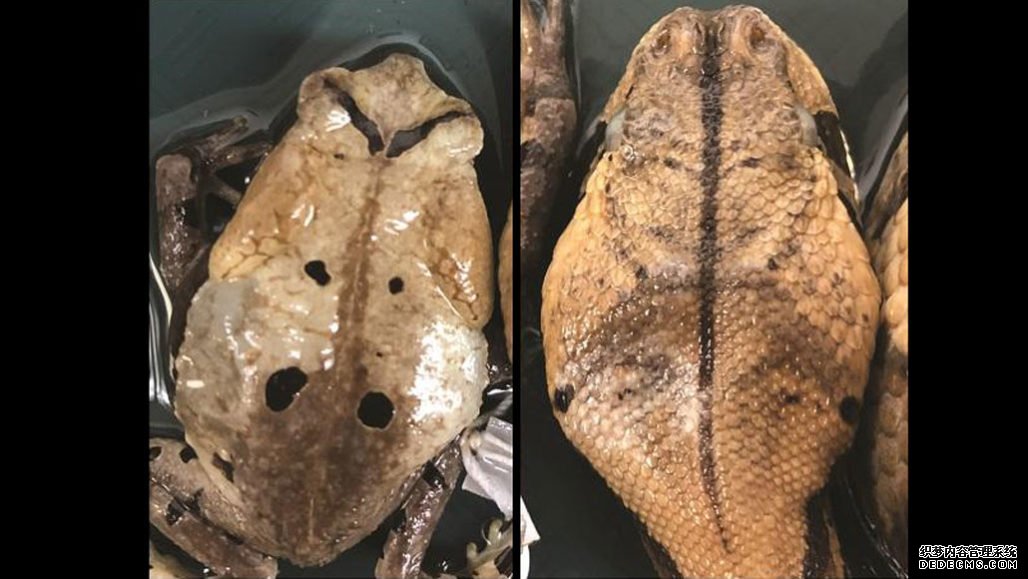 沐鸣登陆网址