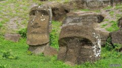 为复活节岛的雕像采石使土壤更肥沃
