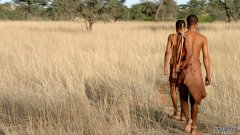 沐鸣平台登陆线路人类的母系祖先可能在20万年前出现在非洲南部