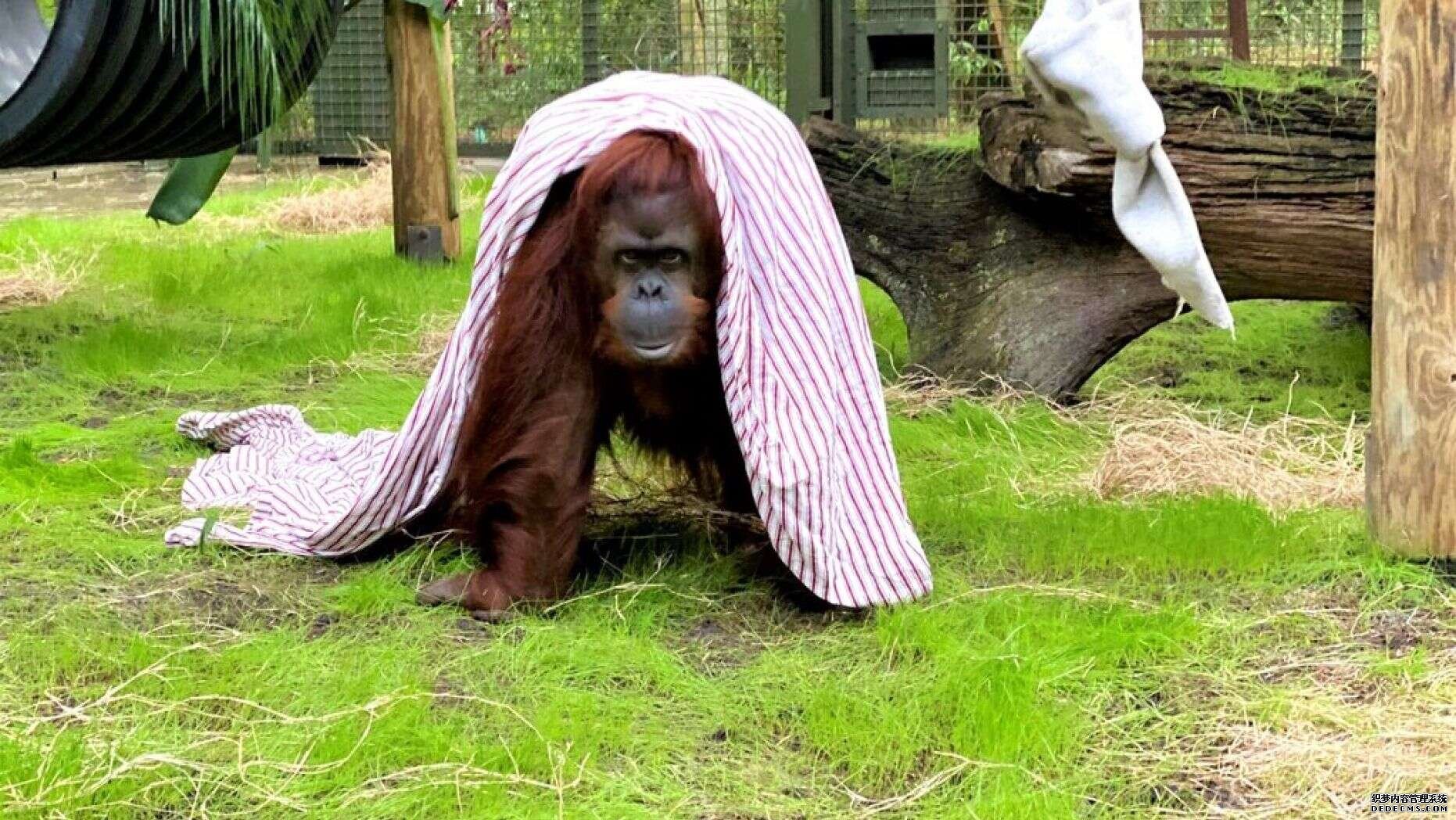 杏3沐鸣平台