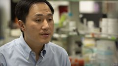 沐鸣平台中国证实，第三个基因编辑婴儿出生，科学家参与判刑