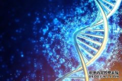 沐鸣测速地址新的DNA计算机计算出了900的平方根