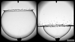 听着肥皂泡的破裂声，沐鸣注册登录你会发现肥皂泡破裂背后的物理学原理