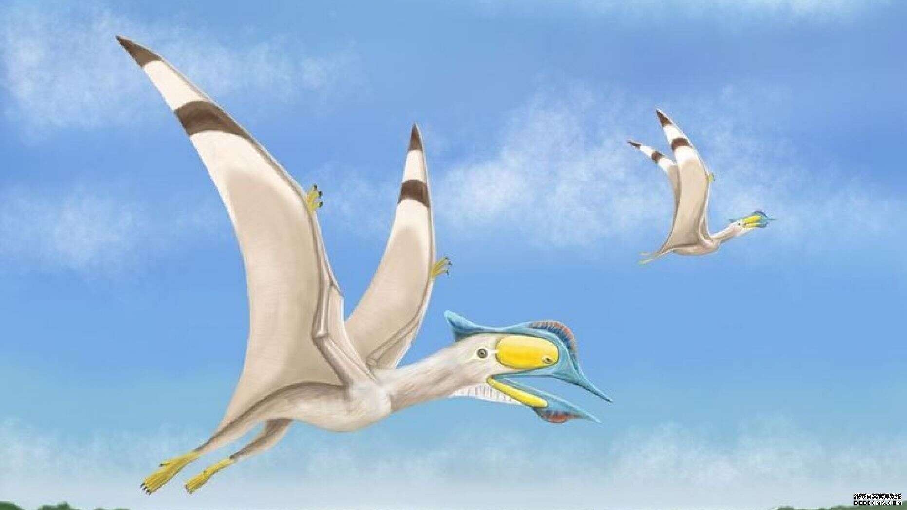 杏3沐鸣平台