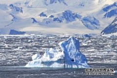 在21世纪，气候变化可能会导致物种的突然灭绝