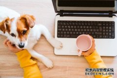 当员工在家工作时，针对企业的黑客攻击激增