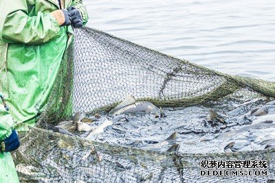 沐鸣测速