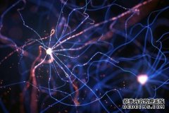 沐鸣测速人工神经网络可能受益于“睡眠”休息