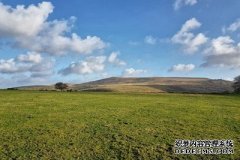 自然栖息地可以吸收英国三分之一沐鸣测速地址的碳排放