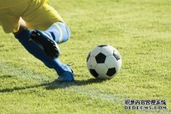 日本球迷通过雅马哈应用贡献远程欢呼