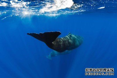沐鸣测速地址