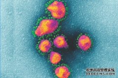 研究表明，沐鸣测试速联系人追踪应用本身是无效的