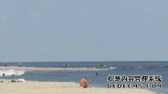 杏3沐鸣平台在南卡罗来纳海滩发现的巨大牙齿引发了人们对它属于哪种生物的疑问