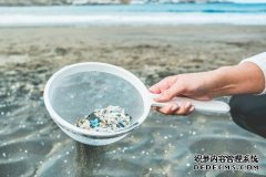 沐鸣测速微塑料被风带到海洋的偏远角落