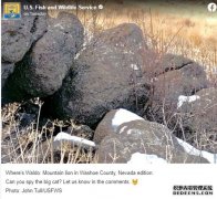 沐鸣平台“沃尔多在哪里?”的时刻