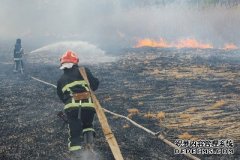 沐鸣测速地址研究发现，反复发生的火灾会削弱森林吸收二氧化碳的能力