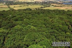 沐鸣测速地址报告警告说，英国的林地是一个重要的碳汇，却没有得到保护