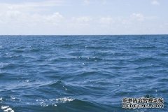 沐鸣测速地址深海细菌向大气中释放碳