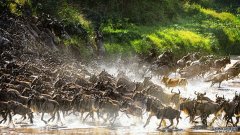 沐鸣平台登陆线路地球上只有3%的土地没有被人类破坏